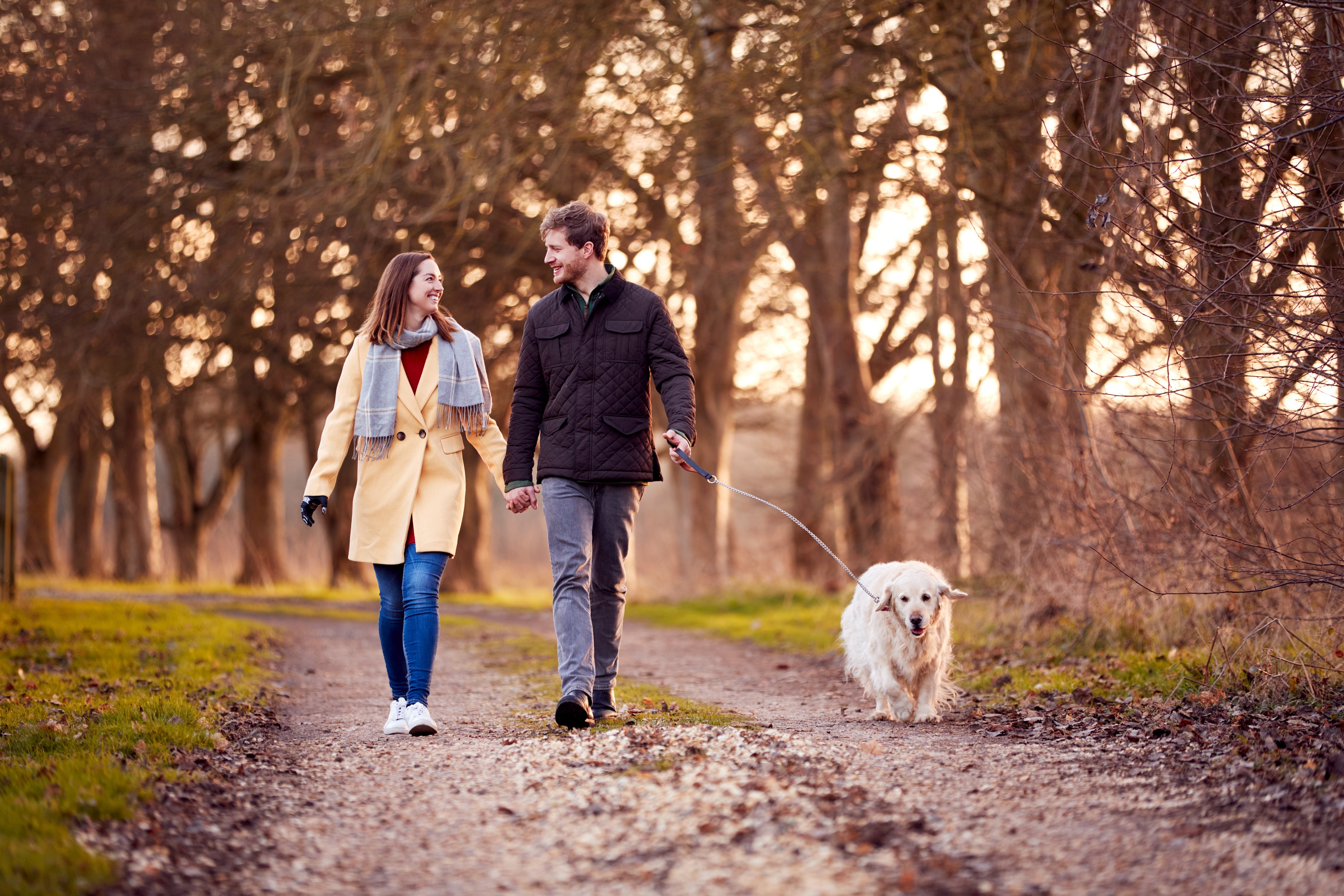 Quality Time: Die Magie von gemeinsamen Herbstspaziergängen